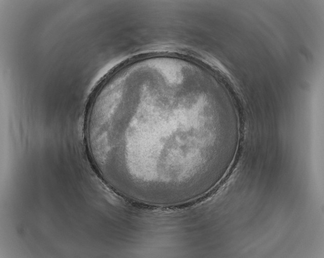 X0000113301216200910051035