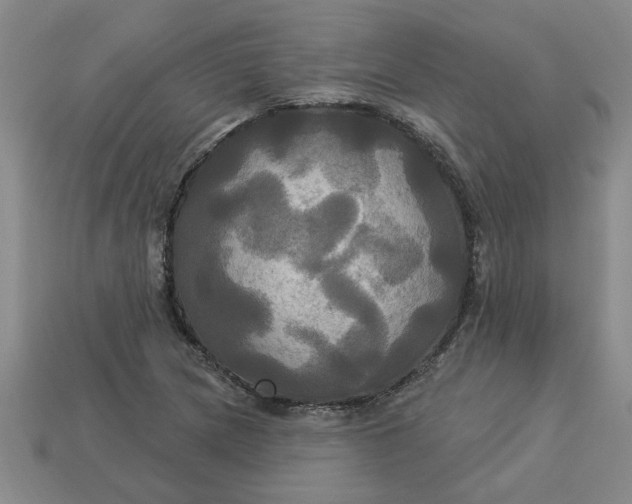 X0000113301217200910051035