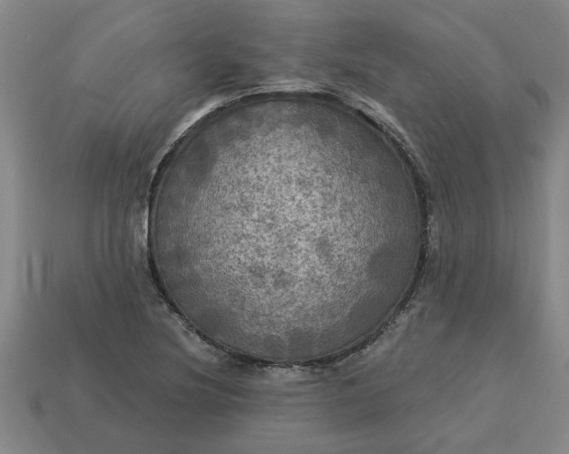 X0000113301220200910051035