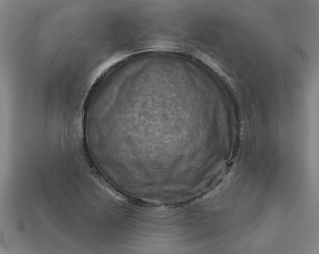 X0000113301222200910051035