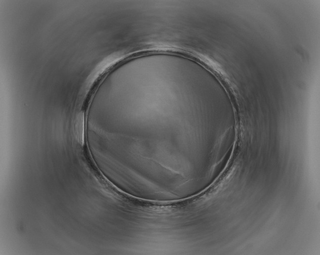 X0000113301223200910051035