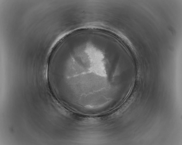 X0000113301224200910051035