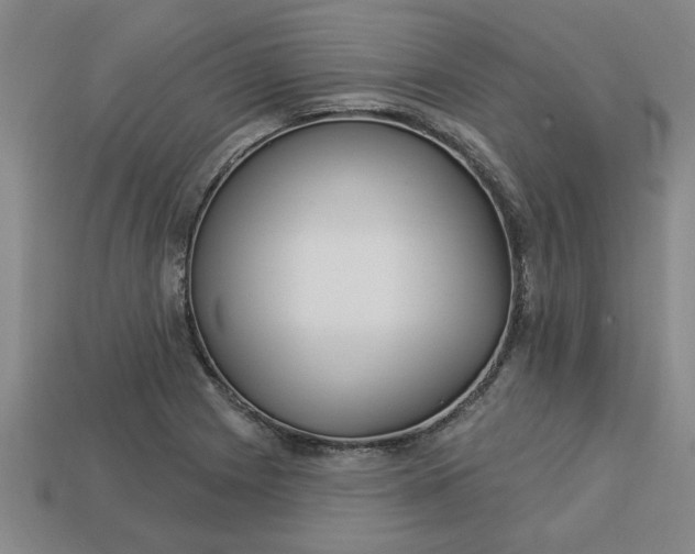 X0000113301225200910051035