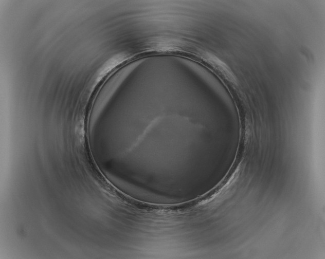 X0000113301226200910051035