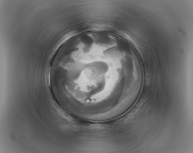 X0000113301227200910051035