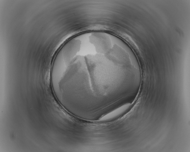 X0000113301228200910051035