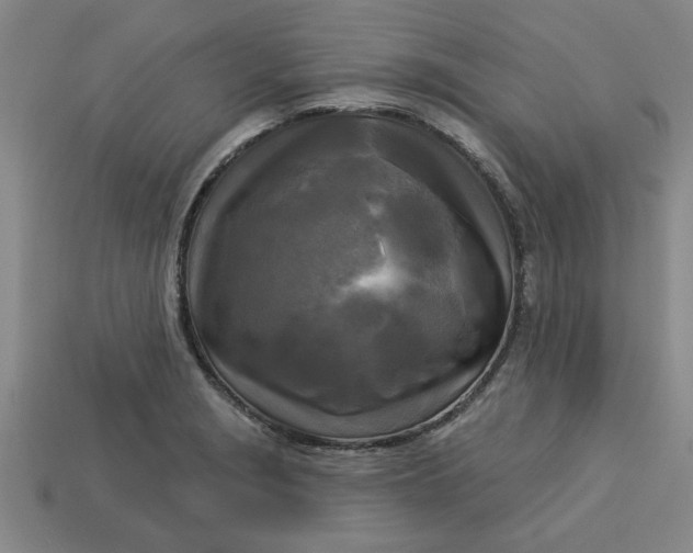 X0000113301229200910051035