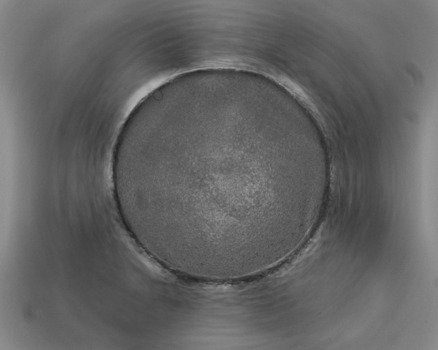 X0000113301230200910051035