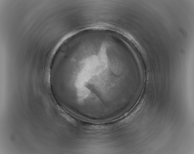 X0000113301232200910051035