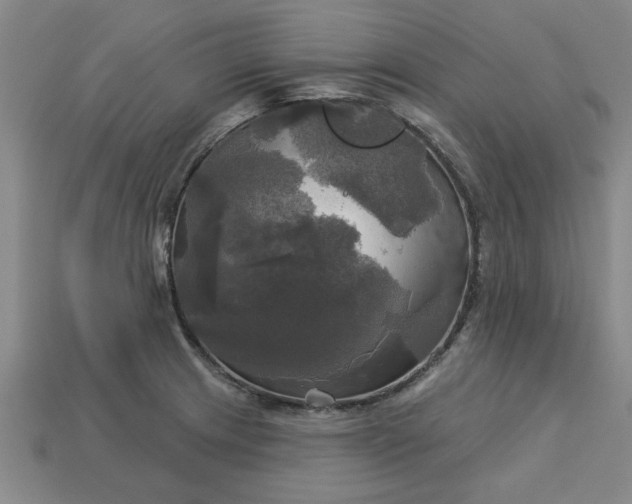 X0000113301233200910051035