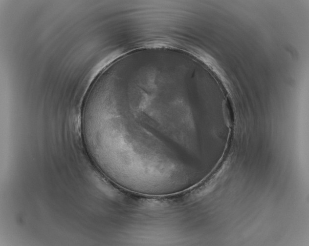 X0000113301234200910051035