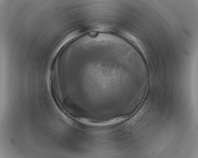 X0000113301235200910051035