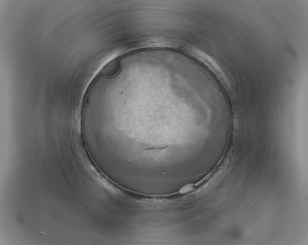 X0000113301236200910051035