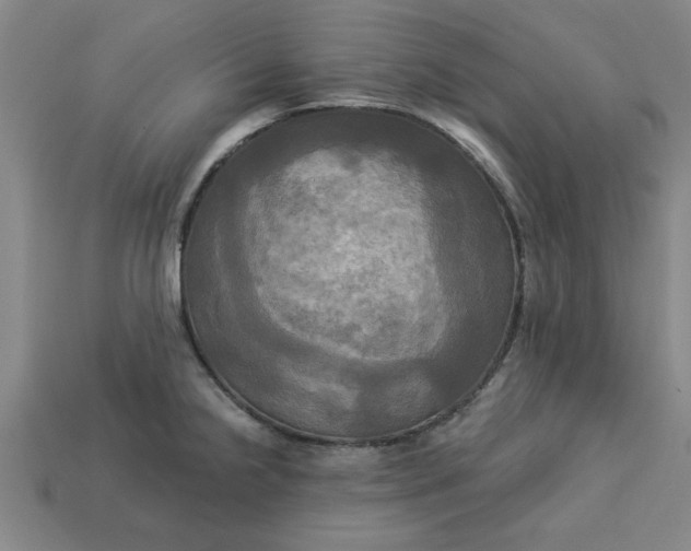 X0000113301238200910051035