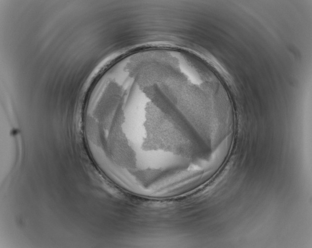 X0000113301240200910051035