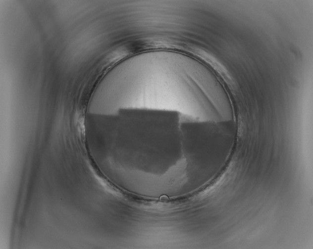 X0000113301241200910051035