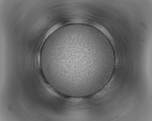 X0000113301242200910051035