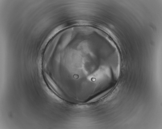 X0000113301243200910051036