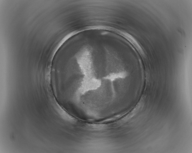 X0000113301244200910051036