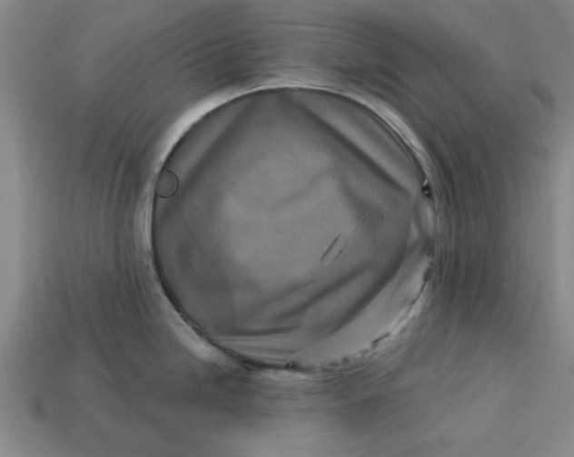 X0000113301246200910051036