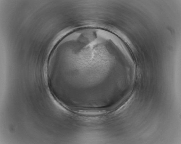 X0000113301247200910051036