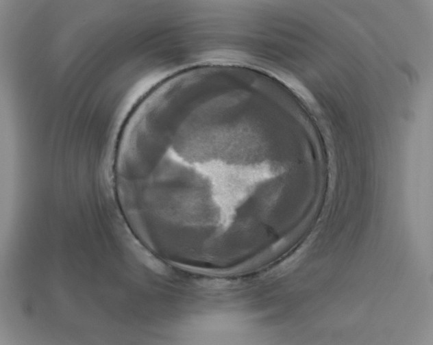 X0000113301248200910051036