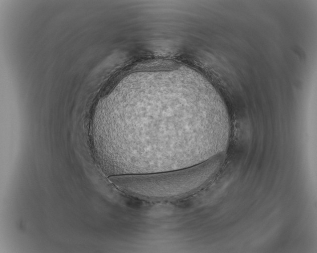 X0000113301249200910051035