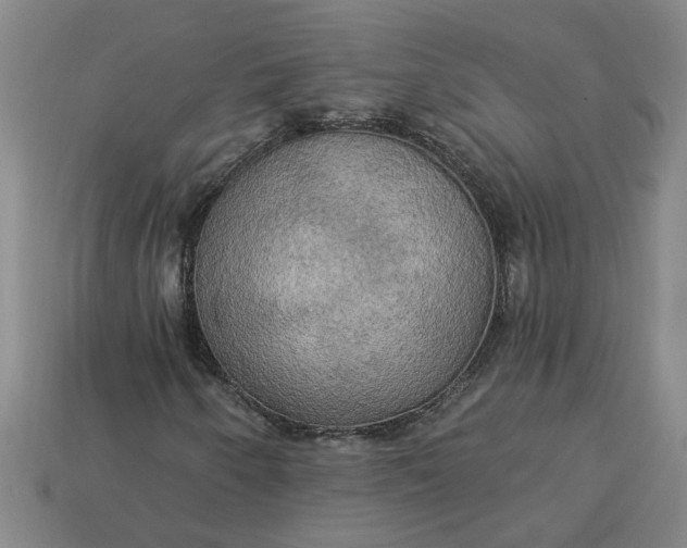 X0000113301250200910051035