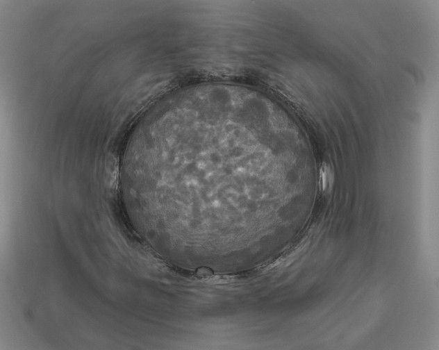 X0000113301251200910051035