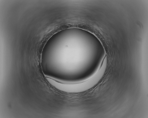 X0000113301253200910051035