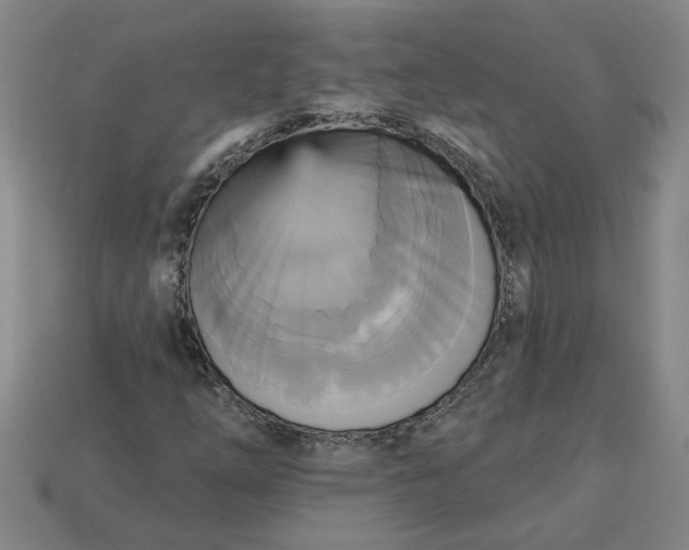 X0000113301254200910051035