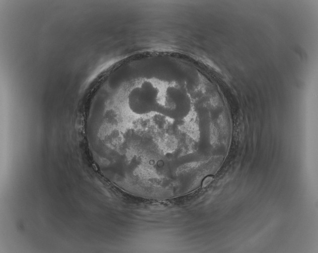 X0000113301255200910051035