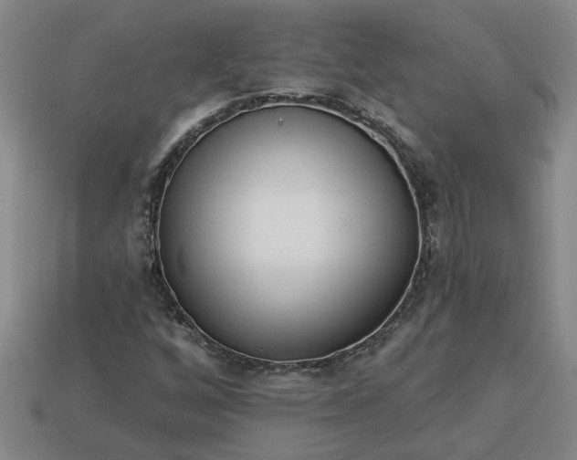 X0000113301256200910051035