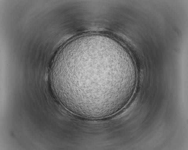 X0000113301257200910051035