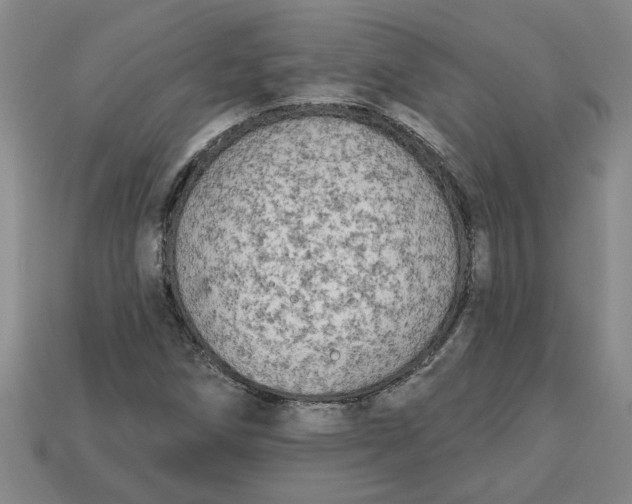 X0000113301258200910051035