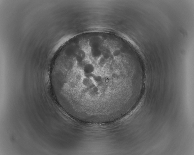 X0000113301259200910051035