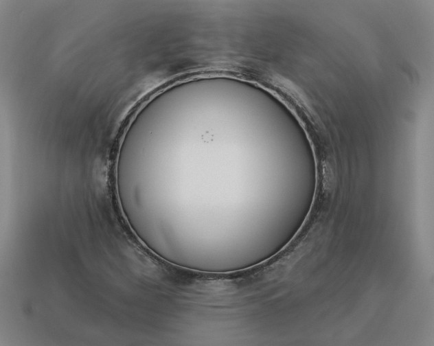 X0000113301260200910051035