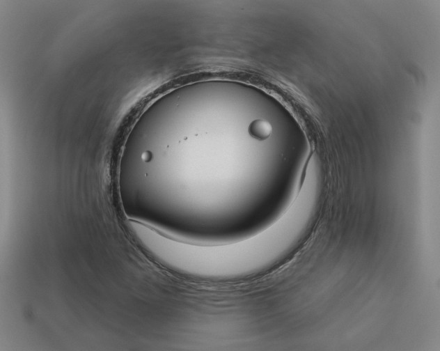 X0000113301261200910051035