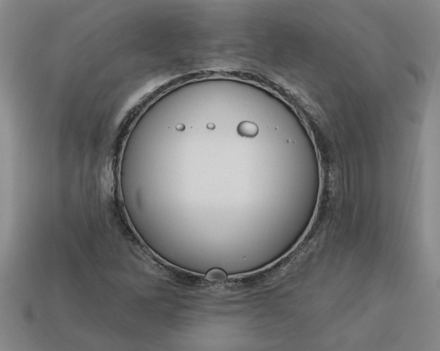 X0000113301262200910051035