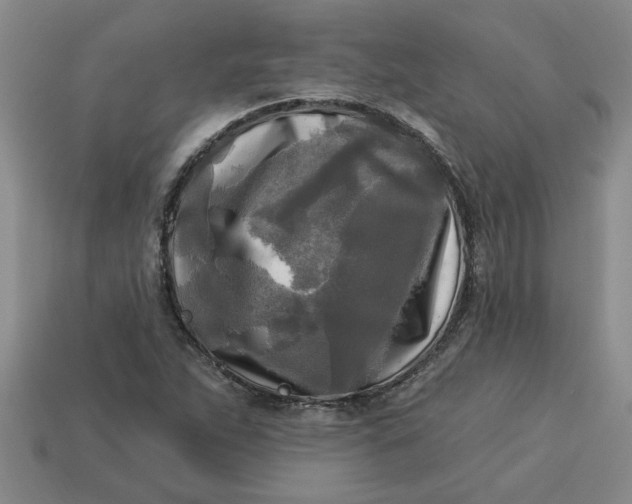 X0000113301263200910051035