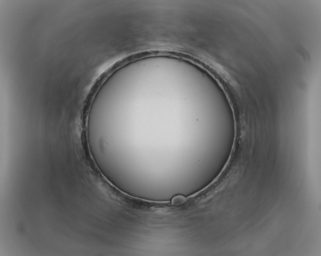 X0000113301264200910051035