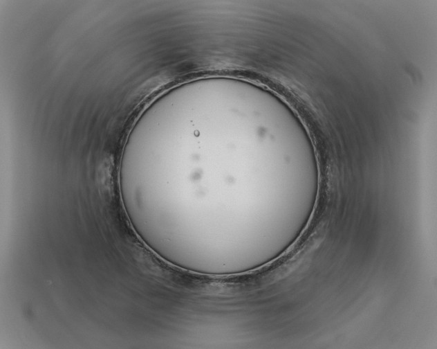 X0000113301265200910051035