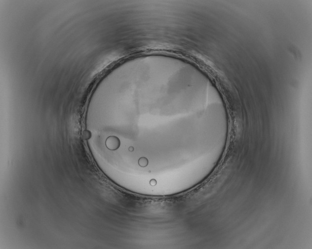 X0000113301266200910051035