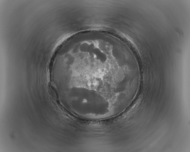 X0000113301267200910051035