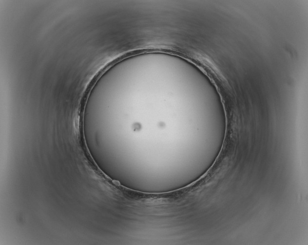 X0000113301268200910051035