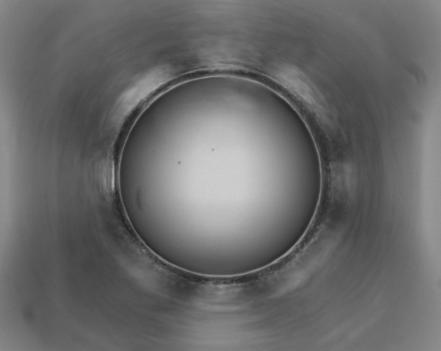 X0000113301269200910051035