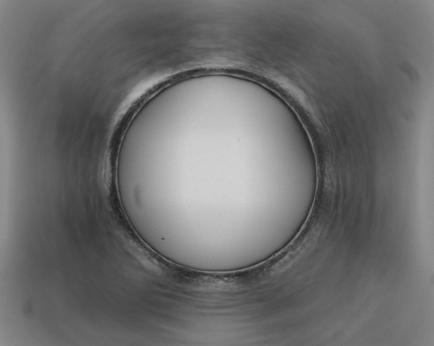 X0000113301270200910051035