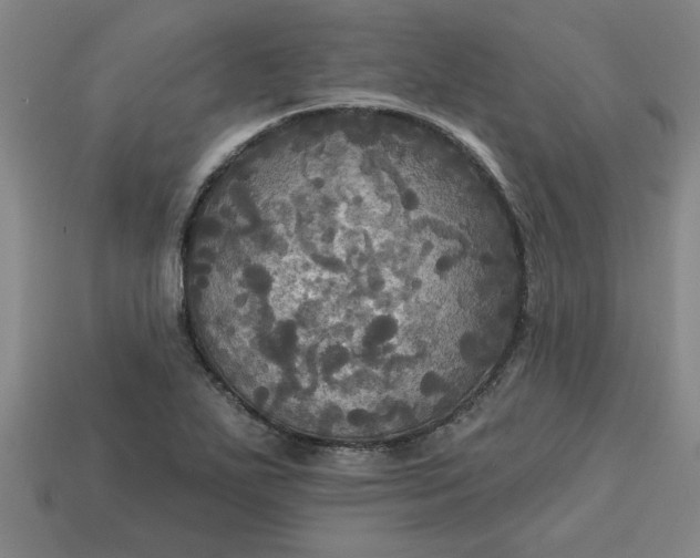 X0000113301271200910051035