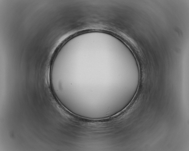 X0000113301272200910051035