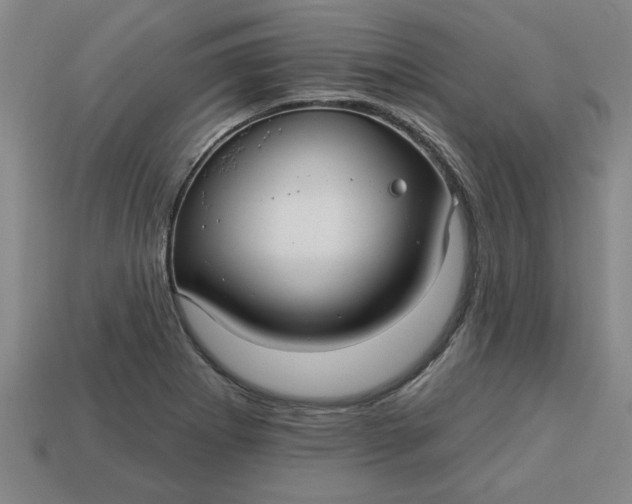 X0000113301273200910051035